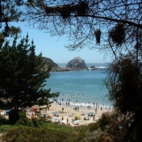 Foto de Algarrobo