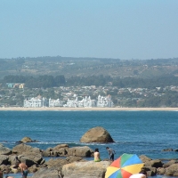 Foto de Algarrobo