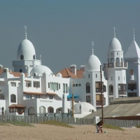 Foto de Algarrobo