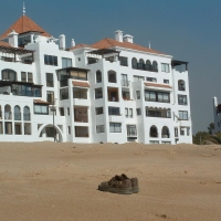 Foto de Algarrobo