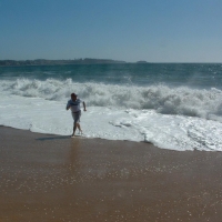 Foto de Algarrobo