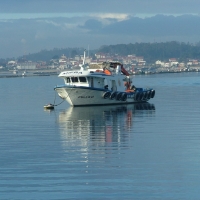 Foto de Vilanova de Arousa