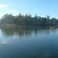 Foto de Vilanova de Arousa