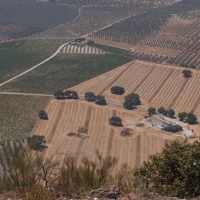 Foto de Lucena