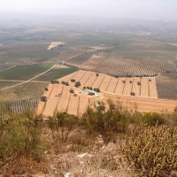 Foto de Lucena