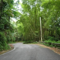 Foto de Adjuntas