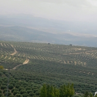 Foto de Baeza