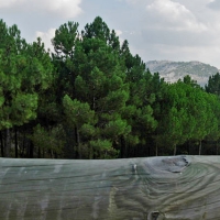 Foto de Grazalema