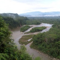 Foto de AMAZONAS (NAPO)