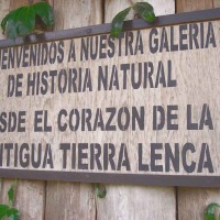 Foto de Yojoa, Cortés