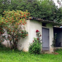 Foto de Figarines