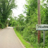 Foto de Figarines