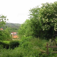 Foto de Figarines