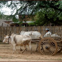 Foto de BAGAN