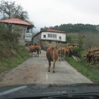 Foto de Allande