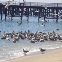 Foto de VALPARAISO