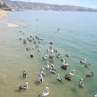 Foto de VALPARAISO