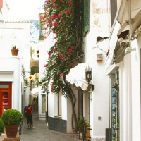 Foto de Capri