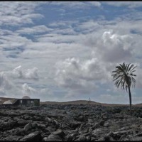 Foto de Lanzarote
