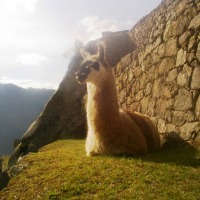 Foto de Cuzco