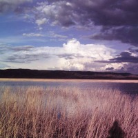 Foto de Laguna de Pitilla