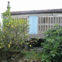 Foto de Nigrán