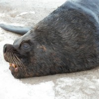 Foto de PUNTA DEL ESTE