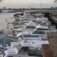 Foto de PUNTA DEL ESTE