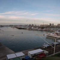 Foto de PUNTA DEL ESTE