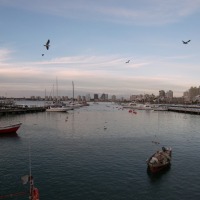 Foto de PUNTA DEL ESTE
