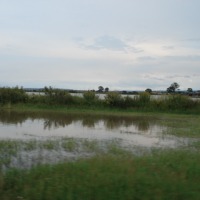 Foto de ARANDAS, JALISCO, MEXICO