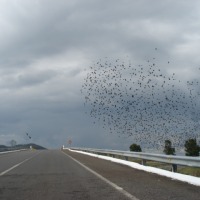 Foto de ARANDAS, JALISCO MEXICO