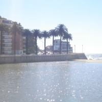 Foto de VIÑA DEL MAR