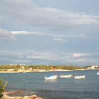 Foto de Pula