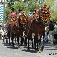 Foto de Jerez  de la Frontera