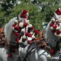 Foto de Jerez  de la Frontera