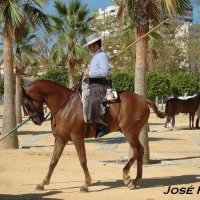 Foto de Jerez de la Frontera