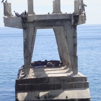 Foto de VALPARAISO