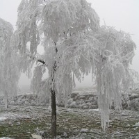 Foto de Bujaraloz