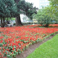 Foto de Belo Horizonte