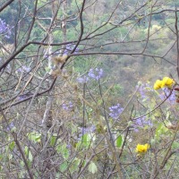 Foto de Formosa