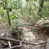 Foto de Formosa (Goiás)
