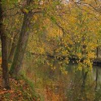 Foto de Palencia