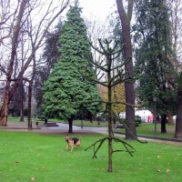 Foto de Oviedo