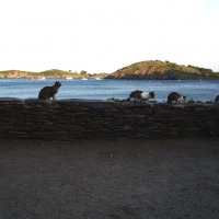 Foto de Port Lligat