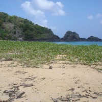 Foto de Fernando de Noronha