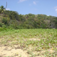 Foto de Fernando de Noronha
