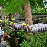 Foto de Kamakura