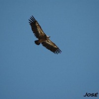 Foto de Cádiz