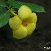 Foto de Zahara de la Sierra